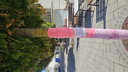 rožnati oktober (5)